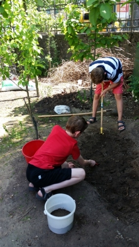 Schüler der Umwelt-AG bei der Gartenarbeit (1)
